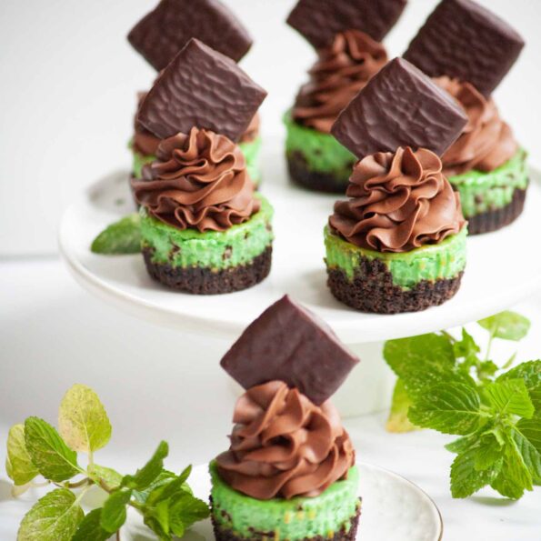 Chocolate and mint mini cheesecakes