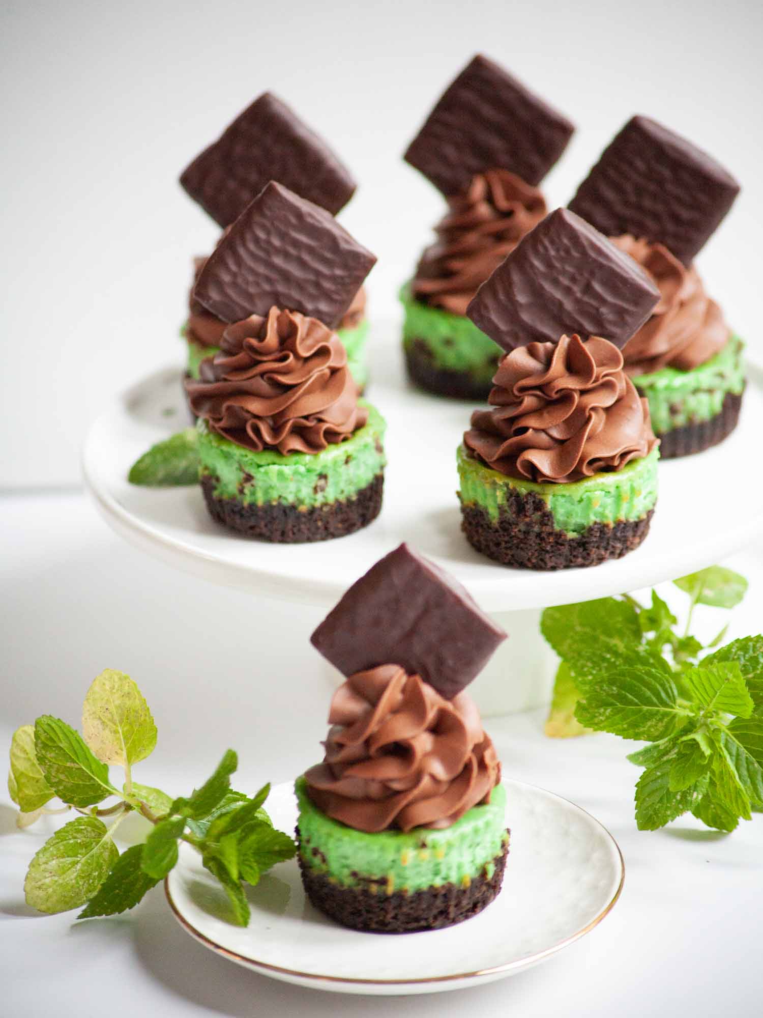 Chocolate and mint mini cheesecakes