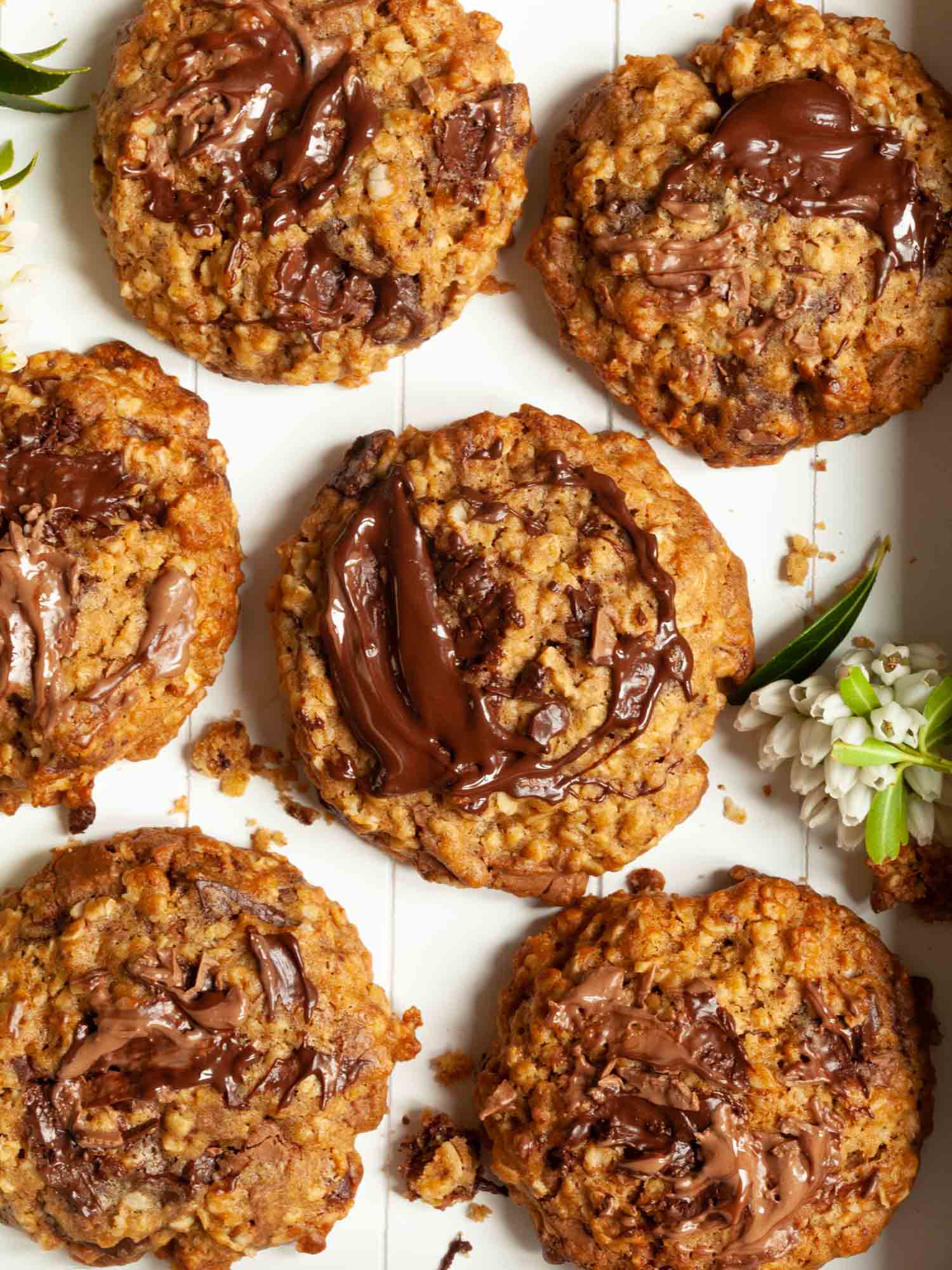 Oats and chocolate cookies